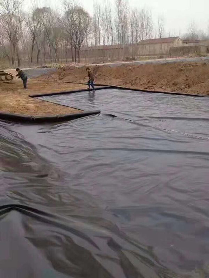 土工膜价格