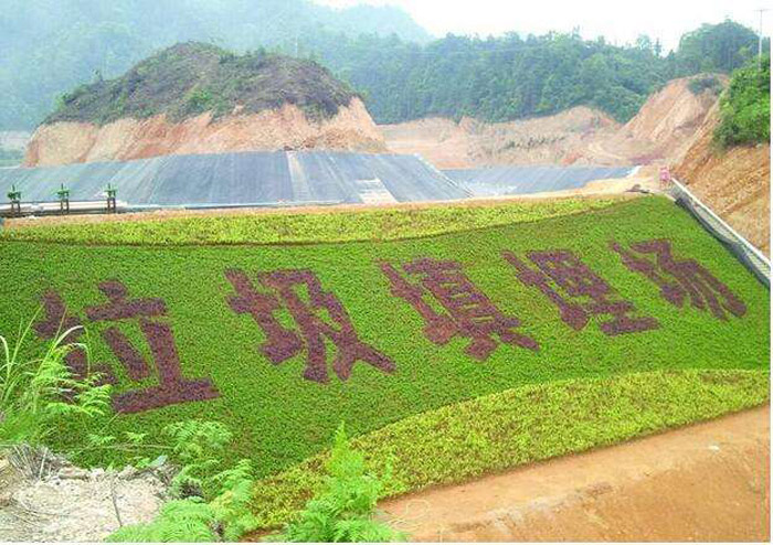 垃圾填埋场绿化.jpg